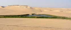 Oasis Egypte logo